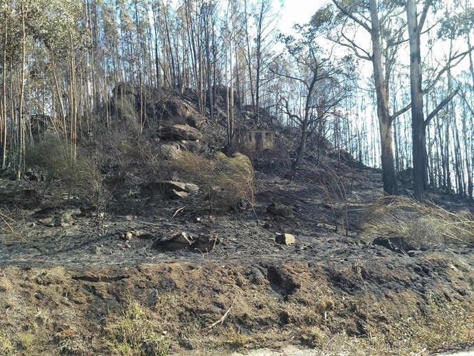 Archivo - Zona quemada en un incendio en Chandebrito