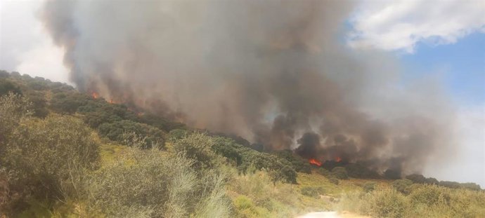 Incendio forestal en Luque (Córdoba) declarado el sábado, 17 de octubre.