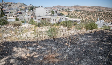 notibrasil política