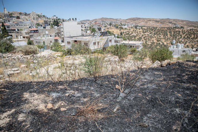 Archivo - Arquivo - 10 de julho de 2025, Taybeh, Cisjordânia, Palestina: Solo carbonizado, aparentemente incendiado por colonos em Taybeh, próximo à Igreja de São Jorge. Palestinos e organizações de direitos humanos afirmam que a violência dos colonos aum