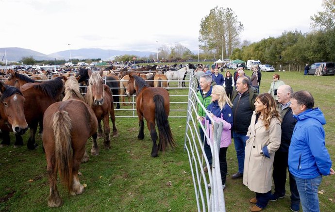 La consejera de Desarrollo Rural y Ganadería, María Jesús Susinos, asiste a la Feria Ganadera de Campoo de Enmedio en Requejo.