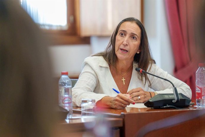 Archivo - La portavoz adjunta de Vox Paula de los Ángeles  Badanelli Berriozábal interviene en La Diputación Permanente. 