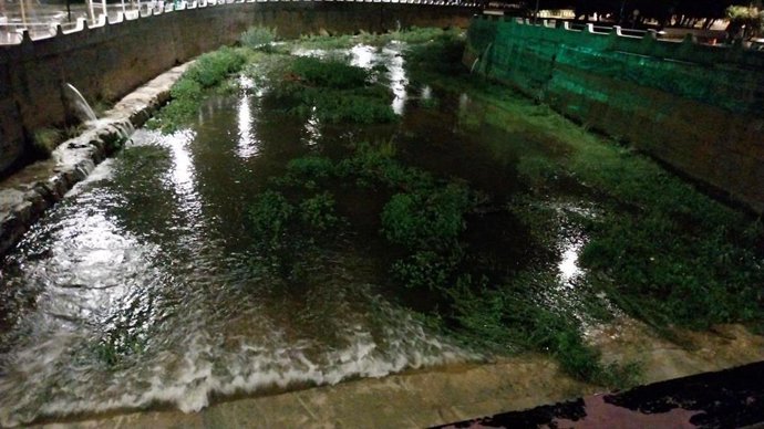 Temporal en Els Poblets (Alicante)