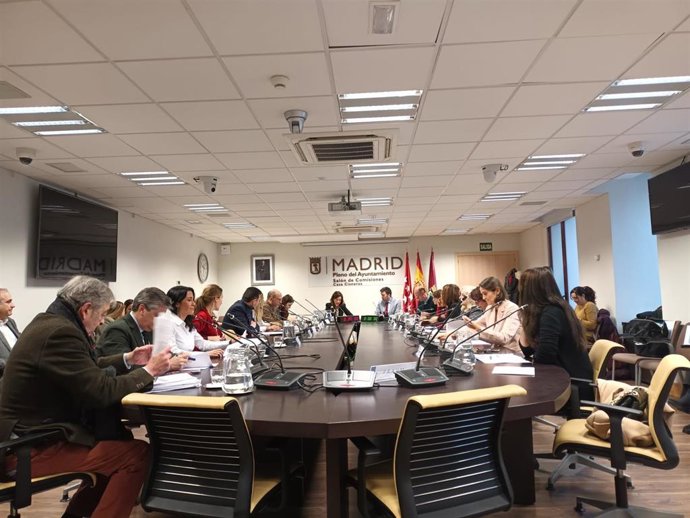 Archivo - Comisión de Igualdad del Ayuntamiento de Madrid