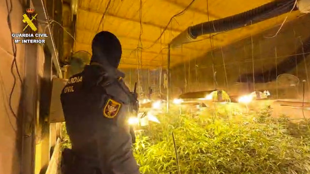 Detienen once personas en Alcaudete de la Jara por grupo criminal dedicado a trá