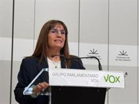 Vox espera "valentía" por parte de Prohens para que la vivienda y la inmigración centren el Debate de Política General
