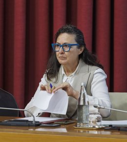 La portavoz de Podemos-IU en el Ayuntamiento de Logroño, Amaia Castro, en comparecencia de prensa