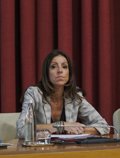 Vox cuestiona la labor del alcalde de Logroño; "Utiliza la propaganda para intentar tapar su incapacidad de gestión"