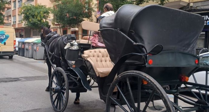 Calesa tirada por un caballo en una calle de Palma.