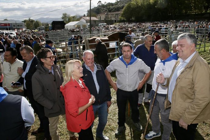 Cerca de 600 animales de 55 ganaderías participan en la feria de San Lucas de Hoznayo