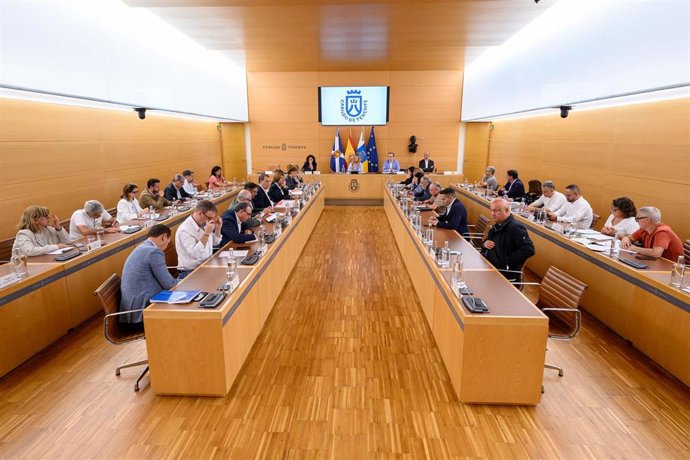 Reunión del Consejo de Insular de Administración Territorial de Tenerife para abordar la reforma del FDCAN