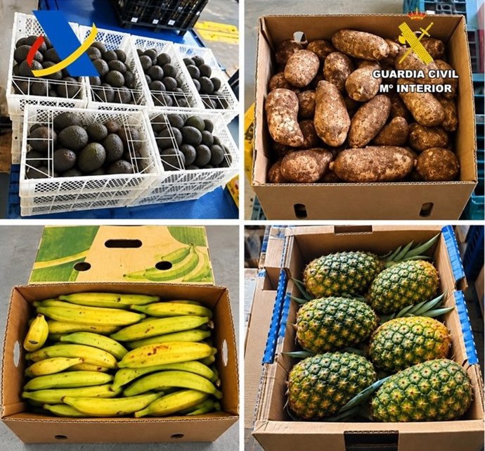 Fruta tropical intervenida por la Guardia Civil en Tenerife