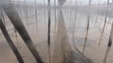 Foto: COAG cifra en 130 las hectáreas dañadas por la dana Adam en Almería y reclama ayudas y un plan contra inundaciones