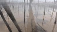 COAG cifra en 130 las hectáreas dañadas por la dana Adam en Almería y reclama ayudas y un plan contra inundaciones