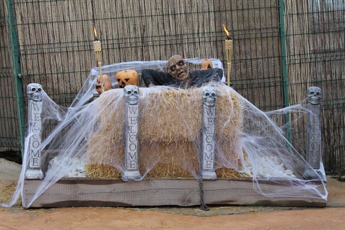 Terra Natura Murcia organiza actividades de Halloween del 24 de octubre al 1 de noviembre