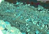 Foto: Una nueva investigación revela la complejidad de las comunidades microbianas que crecen sobre las rocas de los ríos