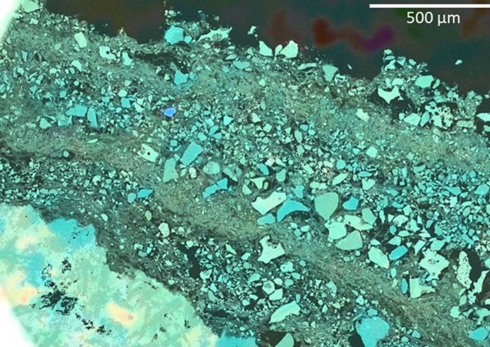 Biofilm fluvial antártico de Playa Deseada (Isla Livingston). Imagen obtenida en microcopio electrónico de Barrido de emisión de campo del Servicio de técnicas no destructivas.