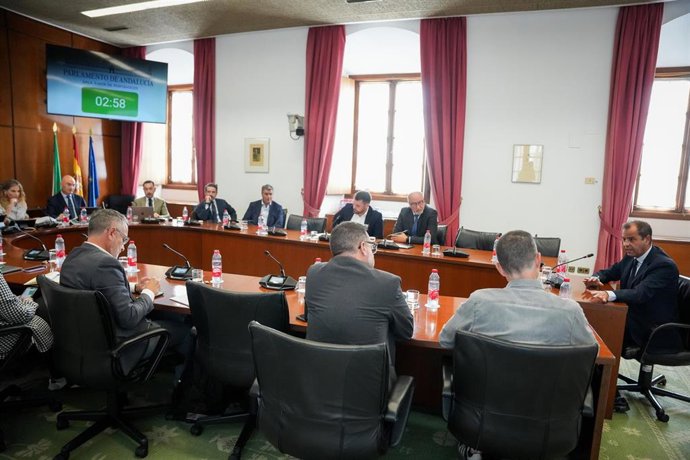 El director general de la Radio y Televisión de Andalucía (RTVA), Juan de Dios Mellado (1d), comparece ante la Comisión Consultiva de Nombramientos, Relaciones con el Defensor del Pueblo Andaluz y Peticiones del Parlamento. 