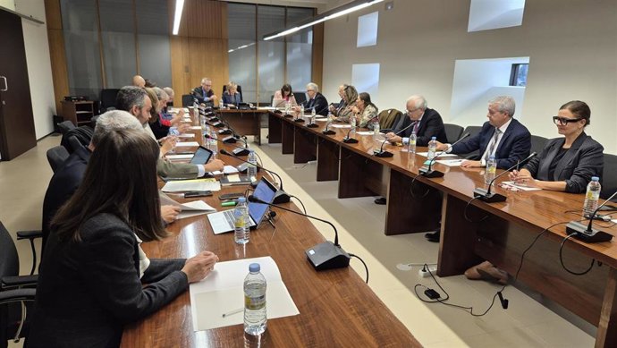 El TSJCyL aprueba instrumentos de coordinación judicial en Burgos y Ávila e impulsa nuevas medidas