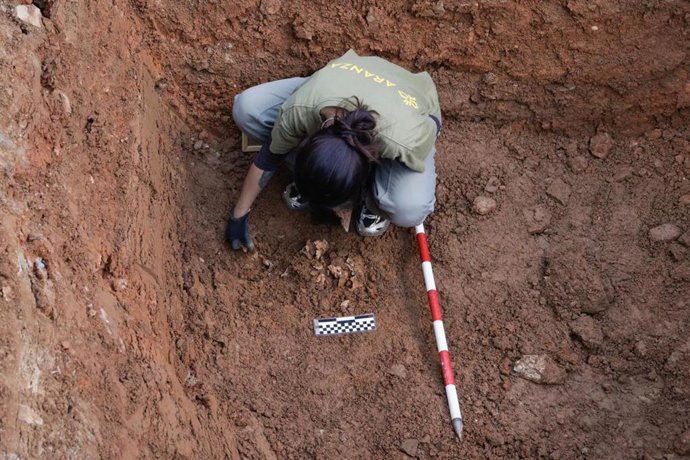 Aparecen los primeros hallazgos de víctimas de la represión franquista en las fosas del cementerio de Cáceres