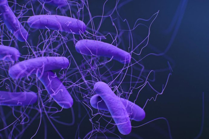 Imagen de  la bacteria 'Clostridioides difficile'.