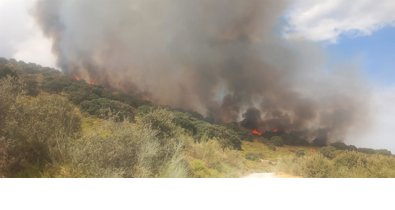 Medio Ambiente