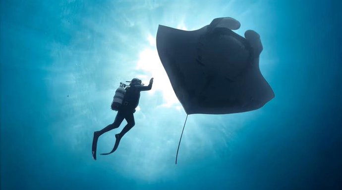 El International Ocean Film Tour cerrará en Lanzarote su gira nacional