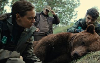 Teaser de Matar a un oso, el thriller basado en el caso real del oso Cachou, que llega a Movistar Plus