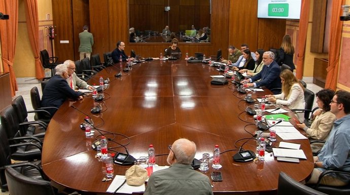 Imagen de la Comisión.