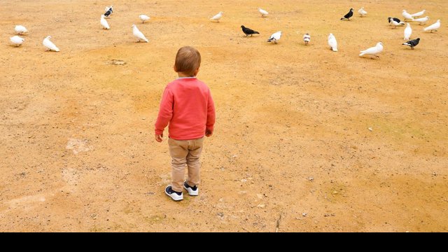 Archivo - Un niño en un parque.