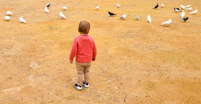 Archivo - Un niño en un parque.