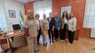 Partcipantes en la reunión entre Sanidad y Ajicam