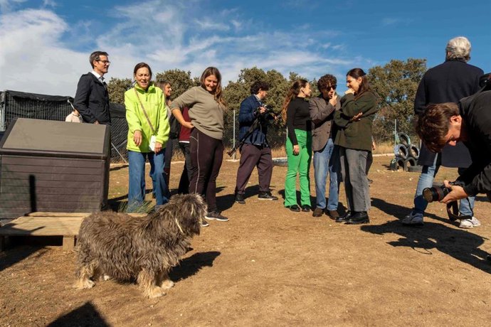 Una media de cuatro animales al día fue adoptado en 2025 a través de 'Adopta con Tiendanimal'.
