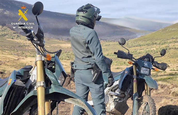 El Seprona investiga a dos personas por presuntos delitos de caza furtiva cerca de Molezuelas de la Carballeda