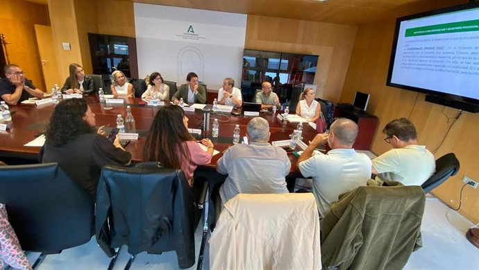 Daniel Sánchez presidiendo la Comisión Provincial del SAE en Cádiz.