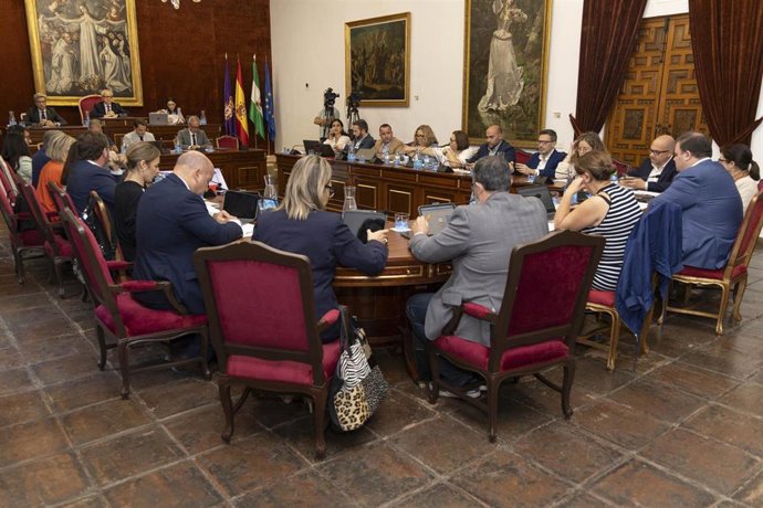 Celebración del Pleno de octubre de la Diputación de Córdoba.