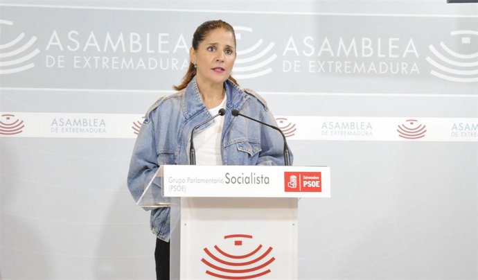 La portavoz del Grupo Parlamentario Socialista, Isabel Gil Rosiña, ofrece una rueda de prensa