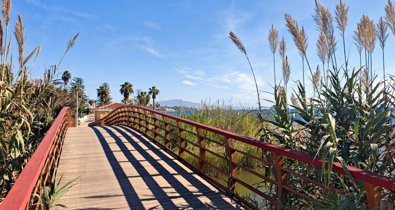 Málaga