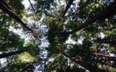 Foto: WWF España pide al Gobierno acelerar las medidas para frenar la pérdida de biodiversidad de cara a 2030