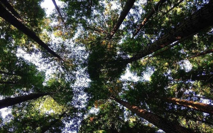 WWF pide acelerar las medidas para frenar la pérdida de biodiversidad.