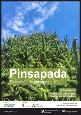 Cartel de la nueva edición de la 'Pinsapada' que impulsan la Diputación de Málaga y Fundación Unicaja.