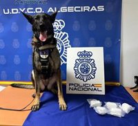 Dos detenidos en Algeciras tras ser sorprendidos con más de medio kilo de cocaína en su vehículo