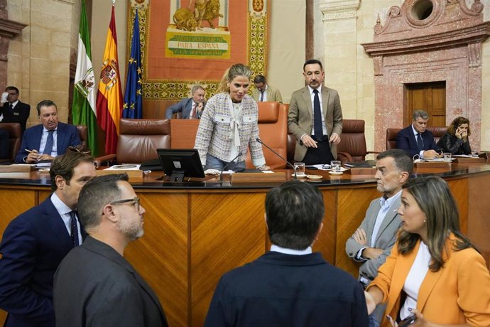 Diputados en el Pleno del Parlamento andaluz.