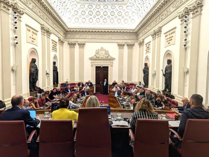 Pleno de las Juntas de Álava