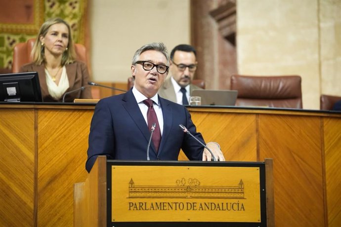 El vicepresidente segundo y consejero de Turismo, Justicia, Desregulación y Administración Local, Manuel Gavira, en una intervención en el Parlamento de Andalucía.