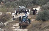 Foto: La ONU alerta del aumento de los ataques de colonos israelíes al inicio de la cosecha de la aceituna en Cisjordania
