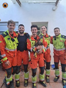 Rescatan a un perrito en Sollana tras quedar atrapado en el desagüe de su casa