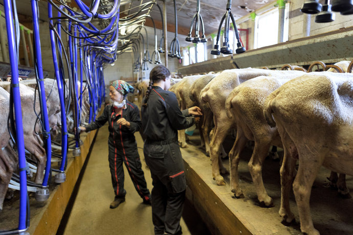 Agricultoras en una granja en Francia