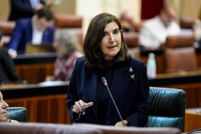 La consejera de Empleo, Empresa y Trabajo Autónomo, Rocío Blanco, en el Parlamento andaluz.