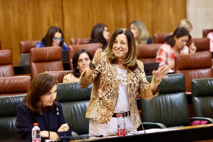 La consejera de Educación, Carmen del Castillo, durante su intervención en el Plano del Parlamento andaluz.